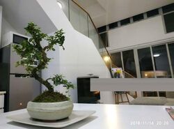 Rangoon 88 (D8), Apartment #483571531